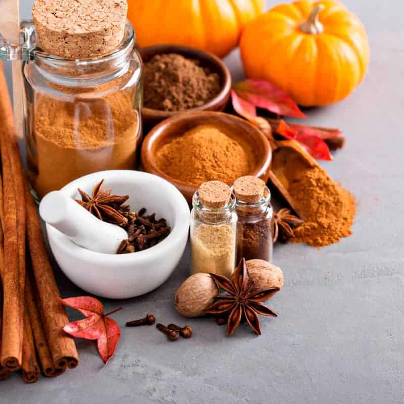 Pumpkin Spice and Everything Nice